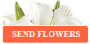Click Here to Send Flowers